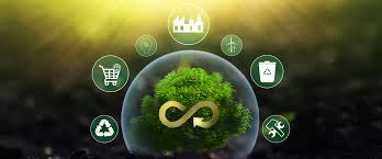 The Importance of Circular Economy Products & How They Help the Planet