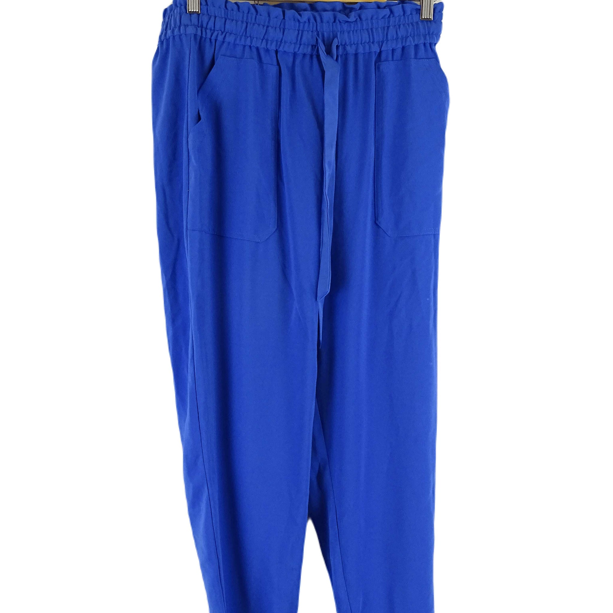 Zara Blue Pants 12