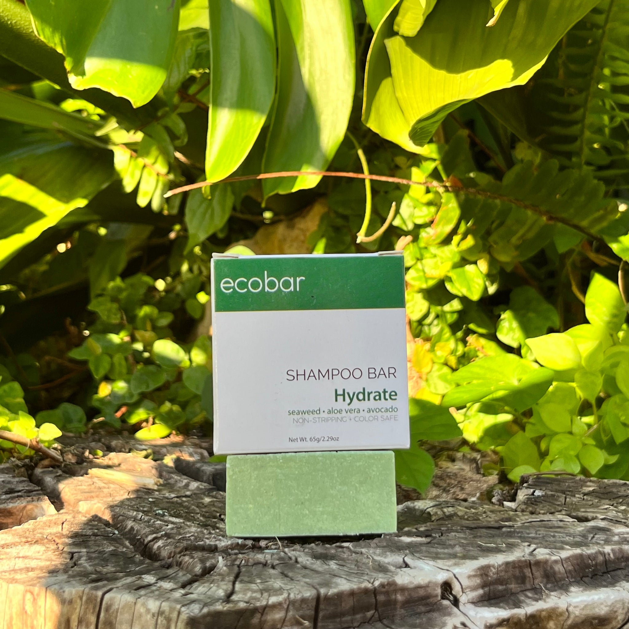 Ecobar Hydrate Shampoo Bar