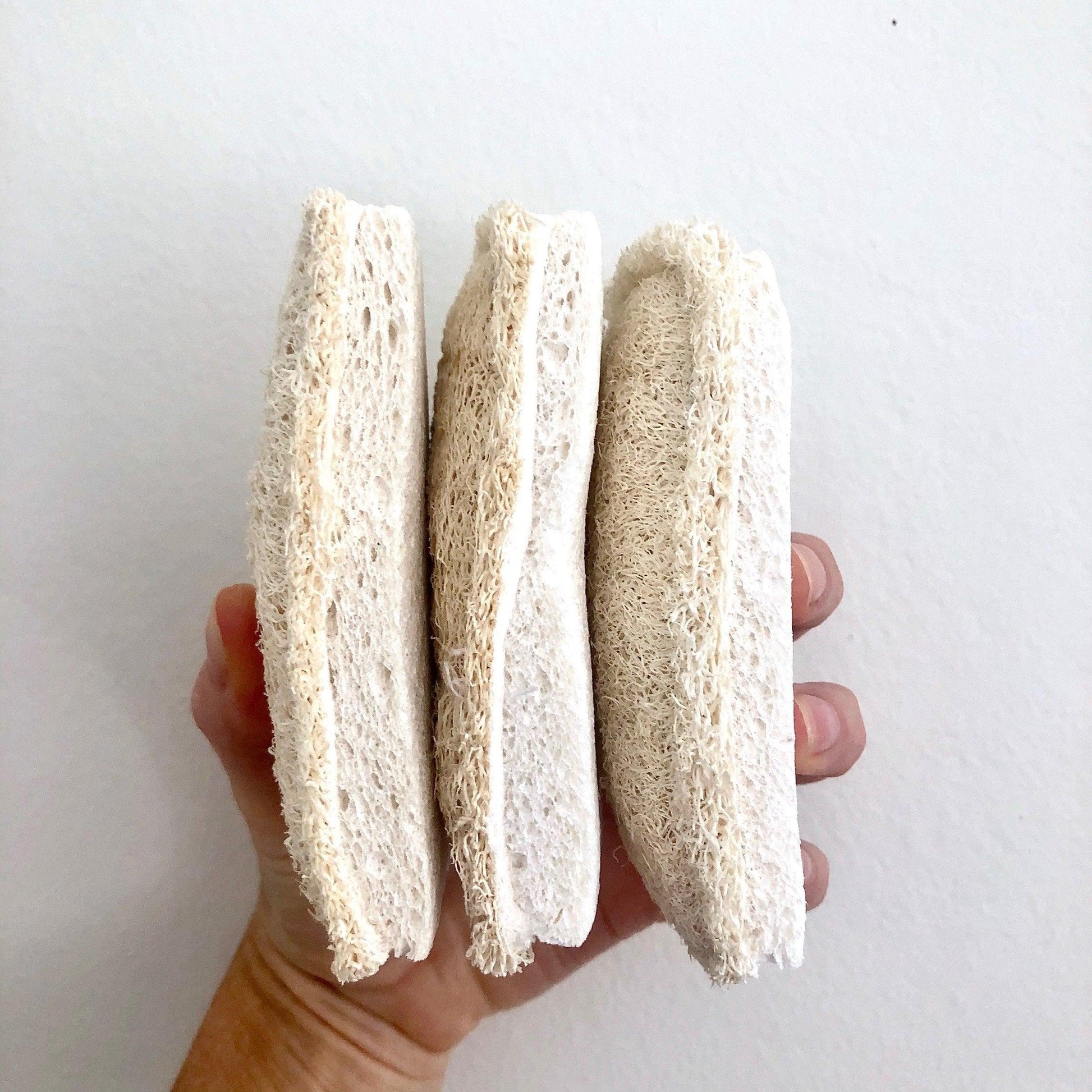 Loofah Cellulose Sponges (Pack of 3)Sustainable Kitchen - Us and the Earth