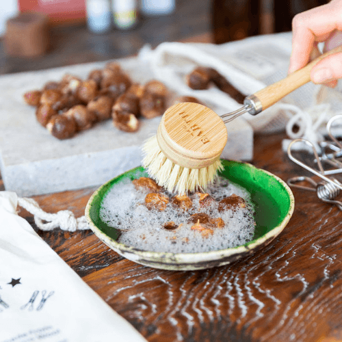 Natural Fibre Cleaning Brush with replaceable head