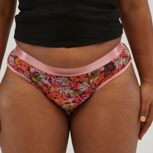 Womens Hipster Brief