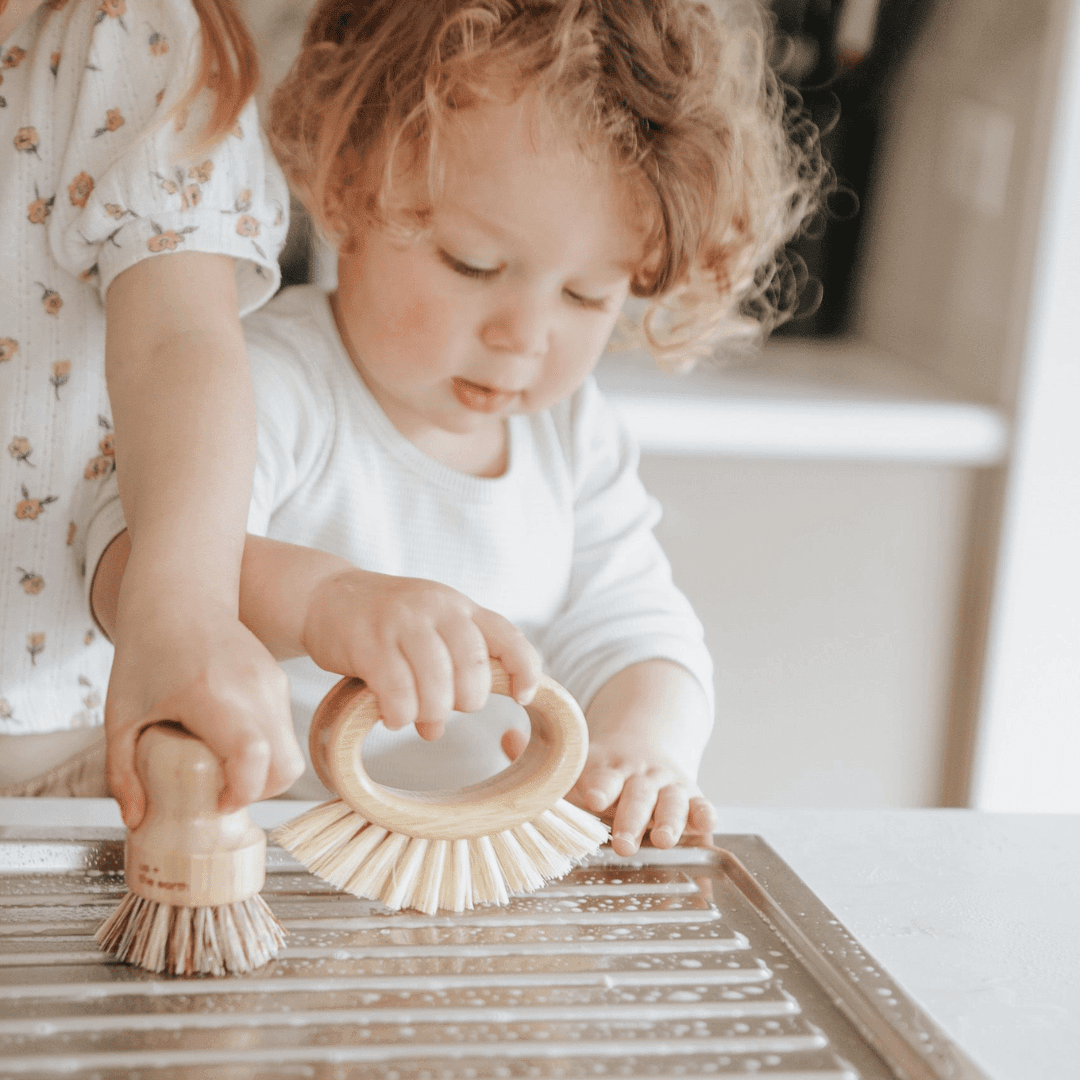 Eco Cleaning Brushes | Set of 4 - Us and the Earth