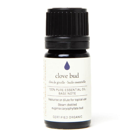 Clove Bud Certified Organic Essential Oil aroma Synthesis Organics