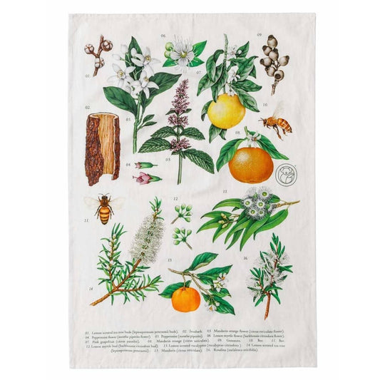 Linen and Cotton Tea Towel - Australian Botanical Print | Koala Eco