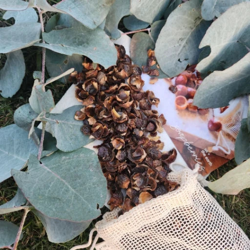 soap berries outside pouch with leaves